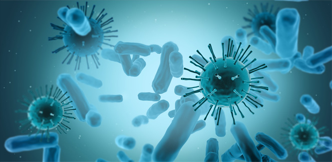 工業(yè)化臨床級的載體生產平臺 